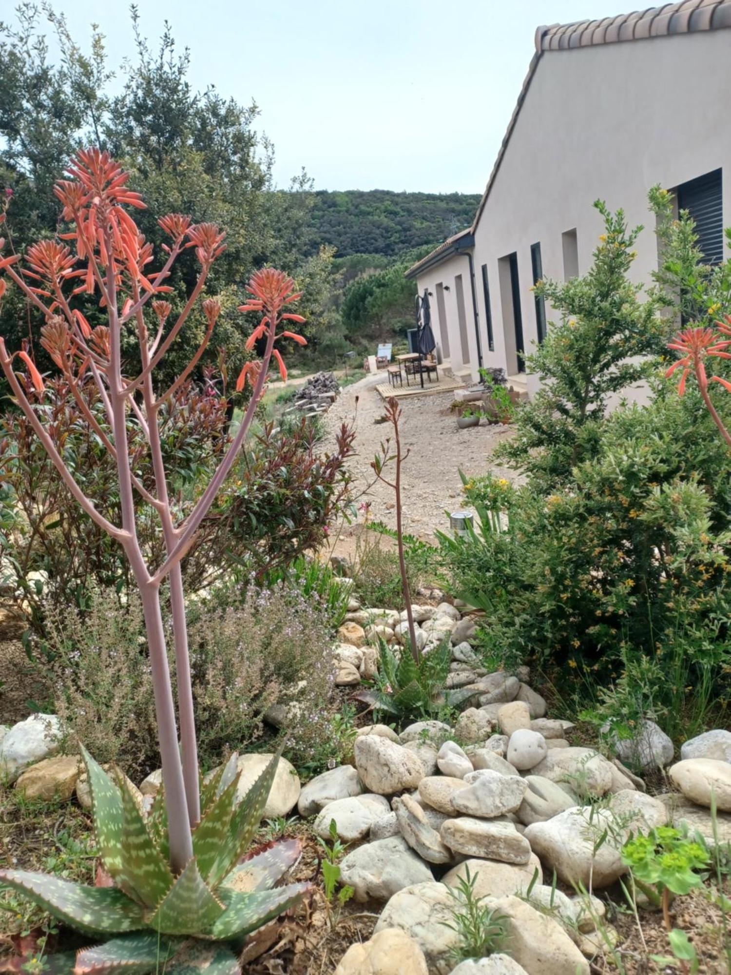 Mourezeva Villa *